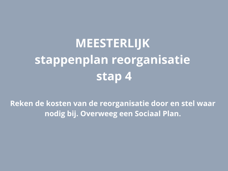 MEESTERLIJK stappenplan reorganisatie - stap 4
