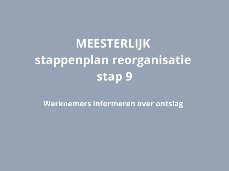 MEESTERLIJK stappenplan reorganisatie - stap 9